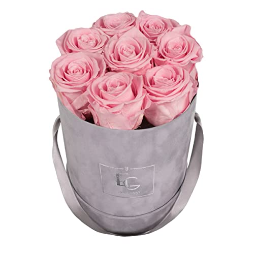 Emmie Gray Classic Infinity ROSENBOX | Velvet Gray | Runde Flowerbox - Infinity Rosen in Grauer Samtbox - 1-3 Jahre Haltbarkeit - Echte Rosen, die jahrelang blühen - Haltbare Rosen (S, Bridal Pink) von EG EMMIE GRAY