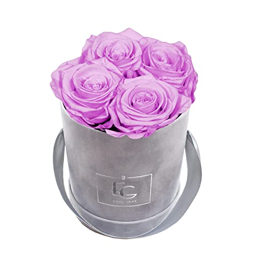 Emmie Gray Classic Infinity ROSENBOX | Velvet Gray | Runde Flowerbox - Infinity Rosen in Grauer Samtbox - 1-3 Jahre Haltbarkeit - Echte Rosen, die jahrelang blühen - Haltbare Rosen (XS, Baby Lilli) von EG EMMIE GRAY