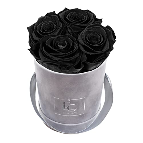 Emmie Gray Classic Infinity ROSENBOX | Velvet Gray | Runde Flowerbox - Infinity Rosen in Grauer Samtbox - 1-3 Jahre Haltbarkeit - Echte Rosen, die jahrelang blühen - Haltbare Rosen (XS, Black Beauty) von EG EMMIE GRAY