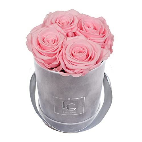 Emmie Gray Classic Infinity ROSENBOX | Velvet Gray | Runde Flowerbox - Infinity Rosen in Grauer Samtbox - 1-3 Jahre Haltbarkeit - Echte Rosen, die jahrelang blühen - Haltbare Rosen (XS, Bridal Pink) von EG EMMIE GRAY