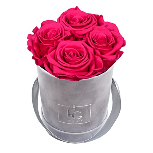 Emmie Gray Classic Infinity ROSENBOX | Velvet Gray | Runde Flowerbox - Infinity Rosen in Grauer Samtbox - 1-3 Jahre Haltbarkeit - Echte Rosen, die jahrelang blühen - Haltbare Rosen (XS, Hot Pink) von EG EMMIE GRAY