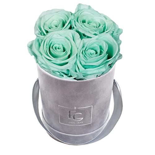 Emmie Gray Classic Infinity ROSENBOX | Velvet Gray | Runde Flowerbox - Infinity Rosen in Grauer Samtbox - 1-3 Jahre Haltbarkeit - Echte Rosen, die jahrelang blühen - Haltbare Rosen (XS, Minty Green) von EG EMMIE GRAY