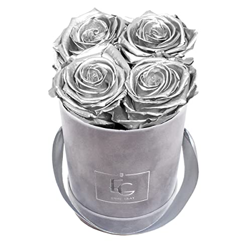 Emmie Gray Classic Infinity ROSENBOX | Velvet Gray | Runde Flowerbox - Infinity Rosen in Grauer Samtbox - 1-3 Jahre Haltbarkeit - Echte Rosen, die jahrelang blühen - Haltbare Rosen (XS, Silver) von EG EMMIE GRAY