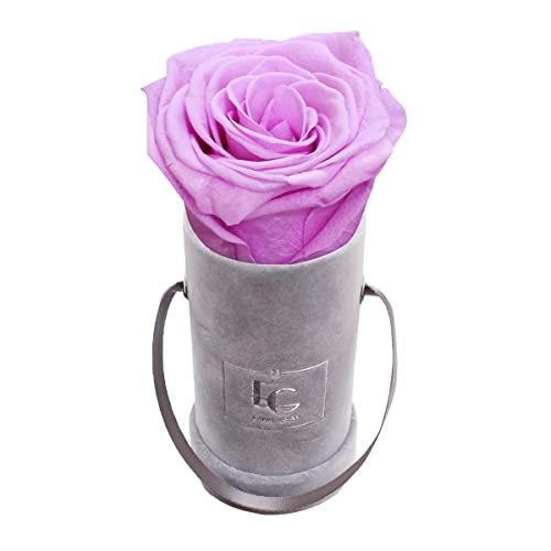 Emmie Gray Classic Infinity ROSENBOX | Velvet Gray | Runde Flowerbox - Infinity Rosen in Grauer Samtbox - 1-3 Jahre Haltbarkeit - Echte Rosen, die jahrelang blühen - Haltbare Rosen (XXS, Baby Lilli) von EG EMMIE GRAY