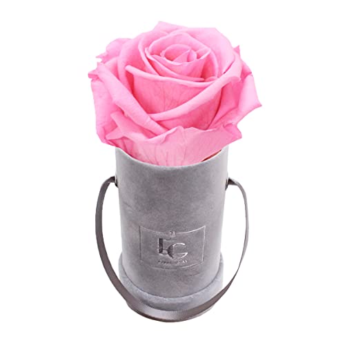 Emmie Gray Classic Infinity ROSENBOX | Velvet Gray | Runde Flowerbox - Infinity Rosen in Grauer Samtbox - 1-3 Jahre Haltbarkeit - Echte Rosen, die jahrelang blühen - Haltbare Rosen (XXS, Bridal Pink) von EG EMMIE GRAY