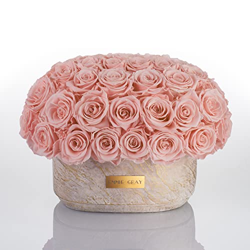 Solid Infinity Collection Golden Sand Oval - Traumhafte Infinity Rosen, 1-3 Jahre haltbare Rosen, Betonvase mit echten, konservierten Rosen, edle Premiumrosen - Größe M (Antique Pink) von EG EMMIE GRAY