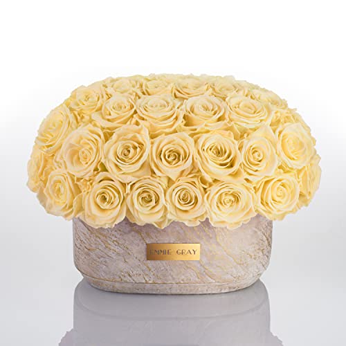Solid Infinity Collection Golden Sand Oval - Traumhafte Infinity Rosen, 1-3 Jahre haltbare Rosen, Betonvase mit echten, konservierten Rosen, edle Premiumrosen - Größe M (Champagne) von EG EMMIE GRAY