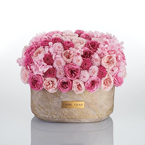 Solid Infinity Collection Golden Sand Oval - Traumhafte Infinity Rosen, 1-3 Jahre haltbare Rosen, Betonvase mit echten, konservierten Rosen, edle Premiumrosen - Größe M (Mix) von EG EMMIE GRAY
