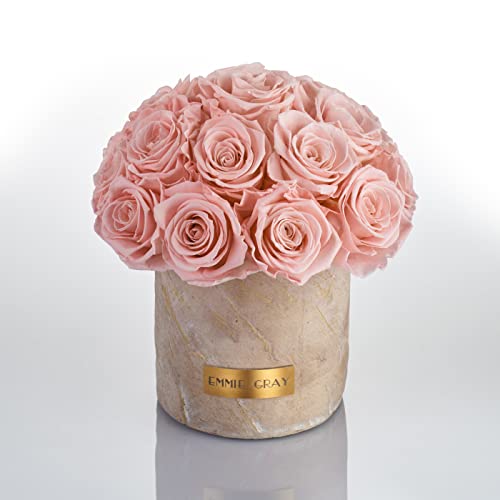 Solid Infinity Collection Golden Sand - Traumhafte Infinity Rosen, 1-3 Jahre haltbare Rosen, Betonvase mit echten, konservierten Rosen, edle Premiumrosen - Größe M (Antique Pink) von EG EMMIE GRAY