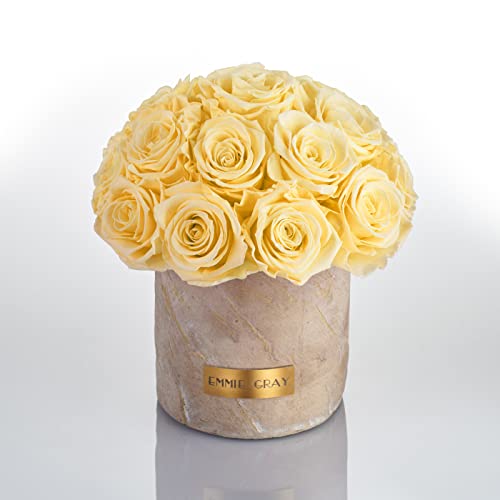 Solid Infinity Collection Golden Sand - Traumhafte Infinity Rosen, 1-3 Jahre haltbare Rosen, Betonvase mit echten, konservierten Rosen, edle Premiumrosen - Größe M (Champagne) von EG EMMIE GRAY