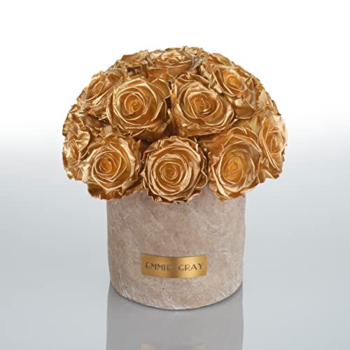 Solid Infinity Collection Golden Sand - Traumhafte Infinity Rosen, 1-3 Jahre haltbare Rosen, Betonvase mit echten, konservierten Rosen, edle Premiumrosen - Größe M (Gold) von EG EMMIE GRAY