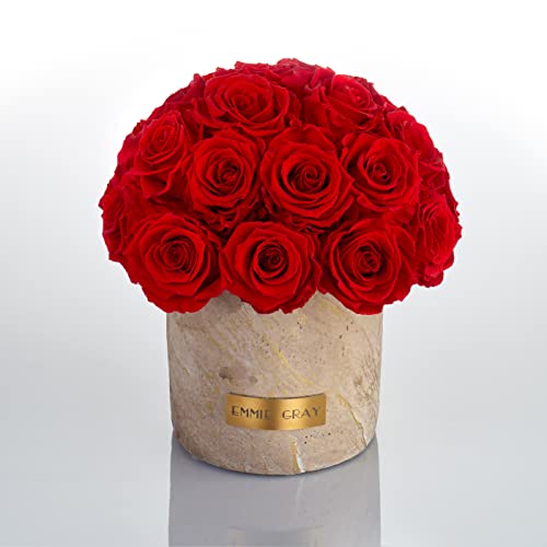 Solid Infinity Collection Golden Sand - Traumhafte Infinity Rosen, 1-3 Jahre haltbare Rosen, Betonvase mit echten, konservierten Rosen, edle Premiumrosen - Größe M (Vibrant Red) von EG EMMIE GRAY