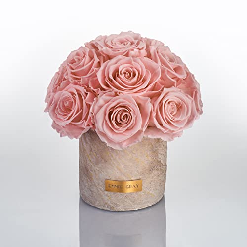 Solid Infinity Collection Golden Sand - Traumhafte Infinity Rosen, 1-3 Jahre haltbare Rosen, Betonvase mit echten, konservierten Rosen, edle Premiumrosen - Größe S (Antique Pink) von EG EMMIE GRAY