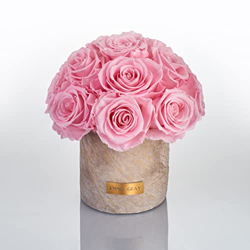 Solid Infinity Collection Golden Sand - Traumhafte Infinity Rosen, 1-3 Jahre haltbare Rosen, Betonvase mit echten, konservierten Rosen, edle Premiumrosen - Größe S (Bridal Pink) von EG EMMIE GRAY