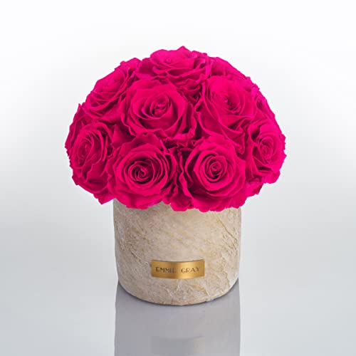 Solid Infinity Collection Golden Sand - Traumhafte Infinity Rosen, 1-3 Jahre haltbare Rosen, Betonvase mit echten, konservierten Rosen, edle Premiumrosen - Größe S (Hot Pink) von EG EMMIE GRAY