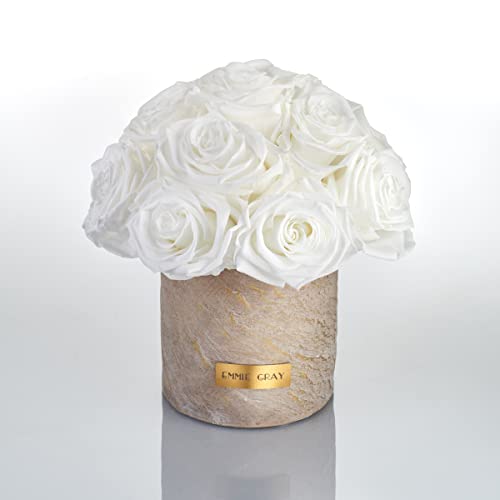 Solid Infinity Collection Golden Sand - Traumhafte Infinity Rosen, 1-3 Jahre haltbare Rosen, Betonvase mit echten, konservierten Rosen, edle Premiumrosen - Größe S (Pure White) von EG EMMIE GRAY