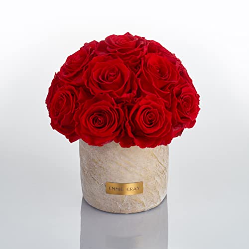 Solid Infinity Collection Golden Sand - Traumhafte Infinity Rosen, 1-3 Jahre haltbare Rosen, Betonvase mit echten, konservierten Rosen, edle Premiumrosen - Größe S (Vibrant Red) von EG EMMIE GRAY