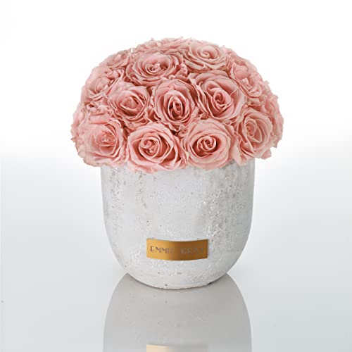 Solid Infinity Collection - Traumhafte Infinity Rosen, 1-3 Jahre haltbare Rosen, Betonvase mit echten, konservierten Rosen, edle Premiumrosen - Größe M (Antique Pink) von EG EMMIE GRAY