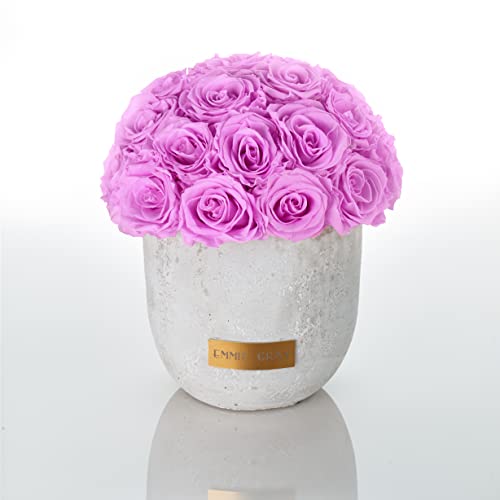 Solid Infinity Collection - Traumhafte Infinity Rosen, 1-3 Jahre haltbare Rosen, Betonvase mit echten, konservierten Rosen, edle Premiumrosen - Größe M (Baby Lilli) von EG EMMIE GRAY