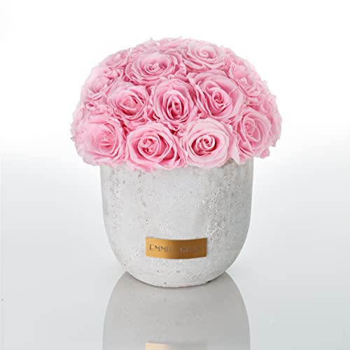 Solid Infinity Collection - Traumhafte Infinity Rosen, 1-3 Jahre haltbare Rosen, Betonvase mit echten, konservierten Rosen, edle Premiumrosen - Größe M (Bridal Pink) von EG EMMIE GRAY