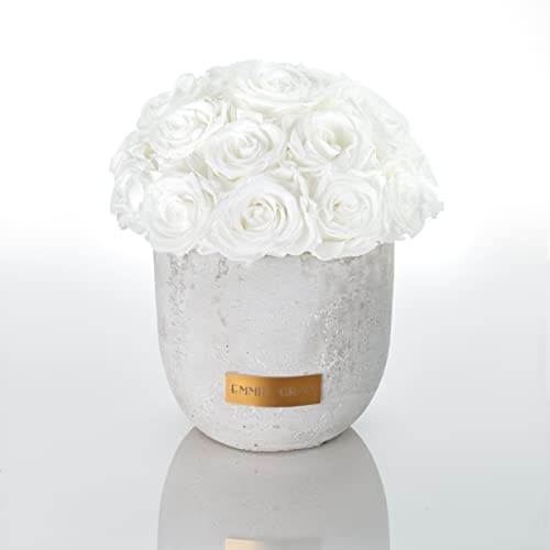 Solid Infinity Collection - Traumhafte Infinity Rosen, 1-3 Jahre haltbare Rosen, Betonvase mit echten, konservierten Rosen, edle Premiumrosen - Größe M (Pure White) von EG EMMIE GRAY