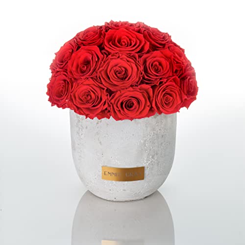 Solid Infinity Collection - Traumhafte Infinity Rosen, 1-3 Jahre haltbare Rosen, Betonvase mit echten, konservierten Rosen, edle Premiumrosen - Größe M (Vibrant Red) von EG EMMIE GRAY