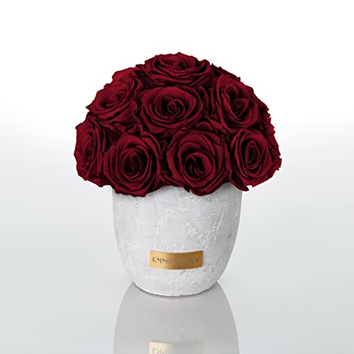 EG EMMIE GRAY Solid Infinity Collection - Traumhafte Infinity Rosen, 1-3 Jahre haltbare Rosen, Betonvase mit echten, konservierten Rosen, edle Premiumrosen - Größe S (Burgundy) von EG EMMIE GRAY