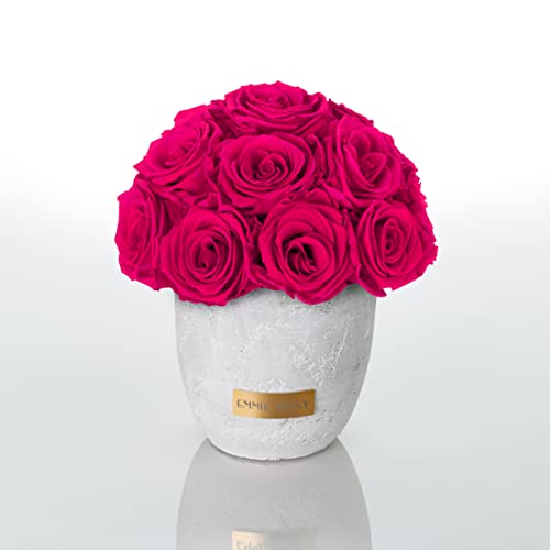 Solid Infinity Collection - Traumhafte Infinity Rosen, 1-3 Jahre haltbare Rosen, Betonvase mit echten, konservierten Rosen, edle Premiumrosen - Größe S (Hot Pink) von EG EMMIE GRAY