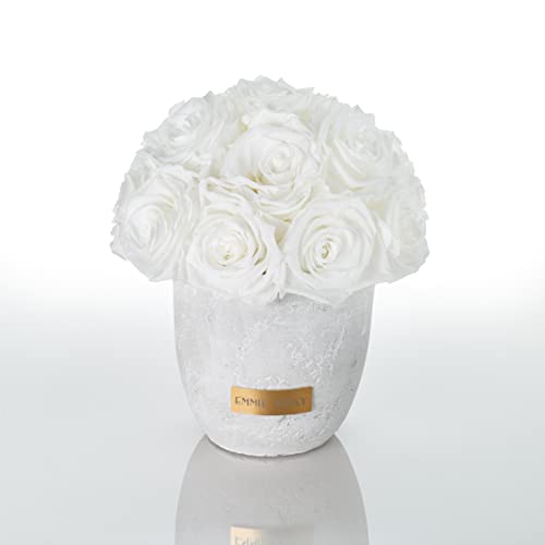 Solid Infinity Collection - Traumhafte Infinity Rosen, 1-3 Jahre haltbare Rosen, Betonvase mit echten, konservierten Rosen, edle Premiumrosen - Größe S (Pure White) von EG EMMIE GRAY