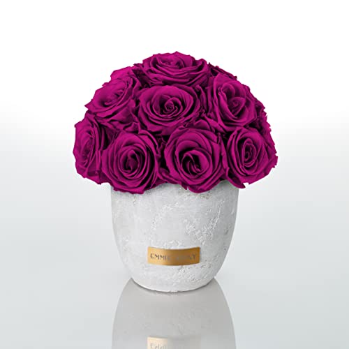 Solid Infinity Collection - Traumhafte Infinity Rosen, 1-3 Jahre haltbare Rosen, Betonvase mit echten, konservierten Rosen, edle Premiumrosen - Größe S (Velvet Plum) von EG EMMIE GRAY