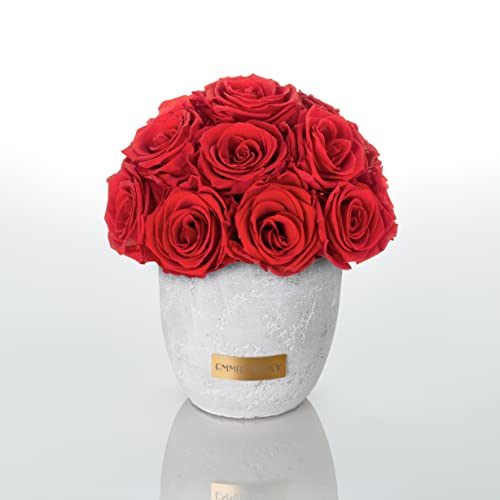 EG EMMIE GRAY Solid Infinity Collection - Traumhafte Infinity Rosen, 1-3 Jahre haltbare Rosen, Betonvase mit echten, konservierten Rosen, edle Premiumrosen - Größe S (Vibrant Red) von EG EMMIE GRAY