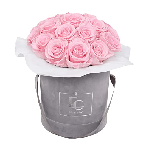 Splendid Infinity ROSEBOX | Velvet Gray - Infinity Rosen mit langjähriger Haltbarkeit, Edle Premiumrosen arrangiert in Einer Samtbox, Haltbare Rosen (M, Bridal Pink) von EG EMMIE GRAY