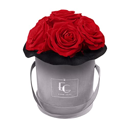 Splendid Infinity ROSEBOX | Velvet Gray - Infinity Rosen mit langjähriger Haltbarkeit, Premiumrosen arrangiert in Einer Samtbox, Haltbare Rosen (XS, Vibrant Red) von EG EMMIE GRAY