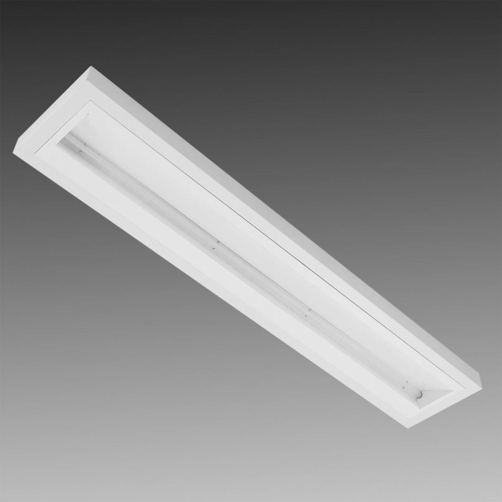 LED-Anbauleuchte asymmetrisch, weiß 50 W LED-Anbauleuchte asymmetrisch, weiß 50 W von EGG