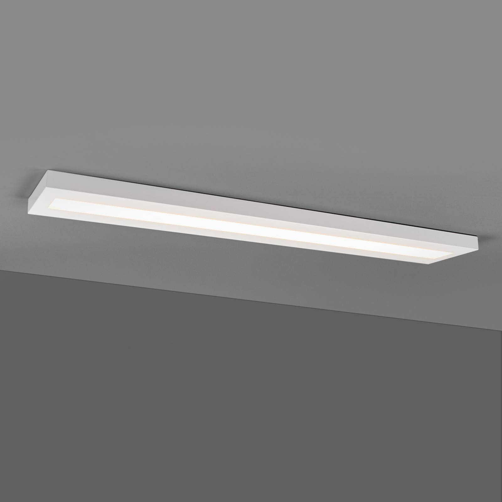 Längliche LED-Anbauleuchte 120 cm weiß, BAP von EGG