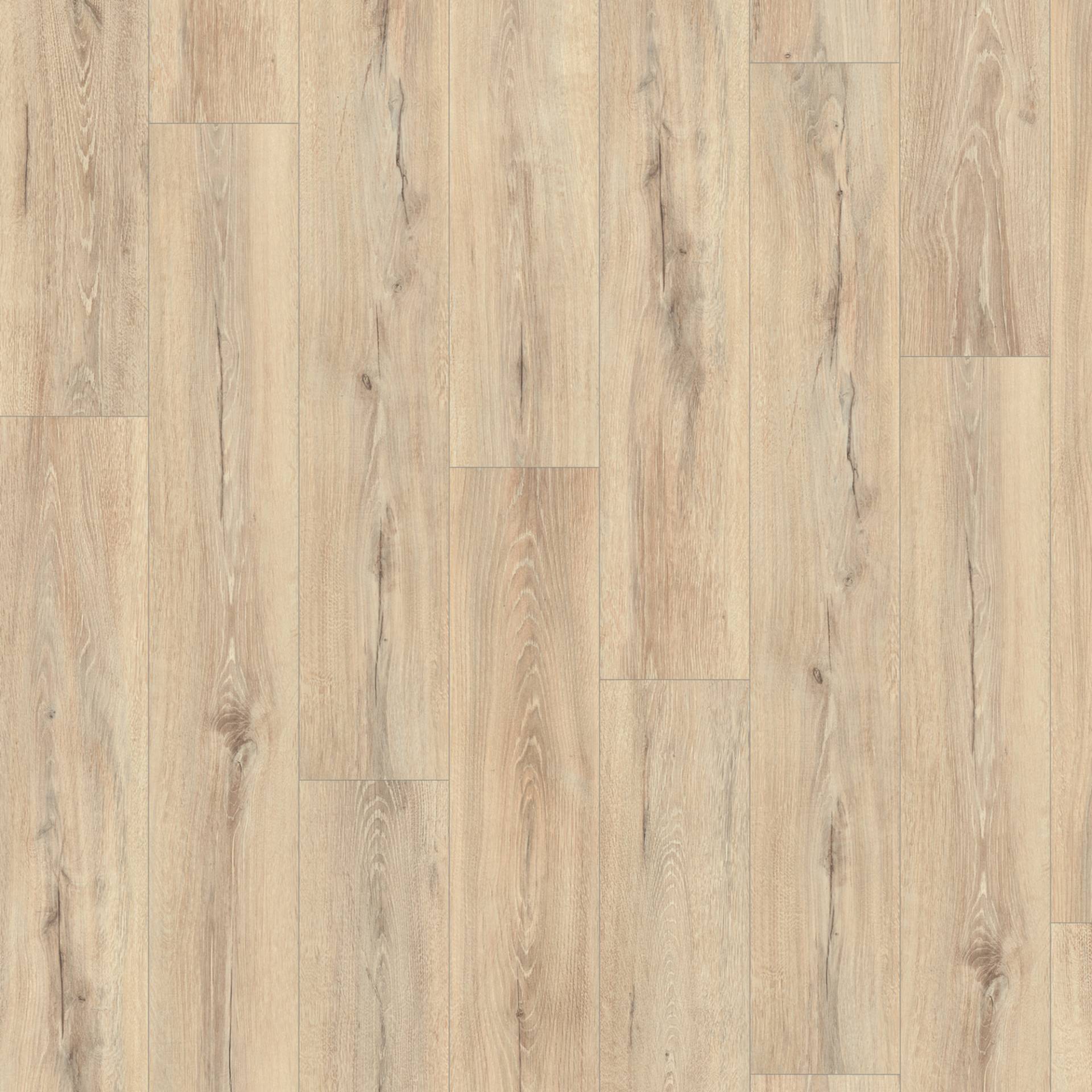 EGGER Laminat 'Home Aqua+' EHL170 Chester Eiche beige beige 8 mm EGGER Laminat 'Home Aqua+' EHL170 Chester Eiche beige beige 8 mm von EGGER