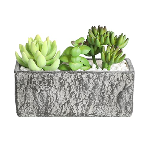 EGLO LIVING Kunstpflanze Chitose, 3 künstliche Zimmerpflanzen im Topf, naturgetreue Deko Pflanze für Wohnzimmer, Sukkulente aus Kunststoff in Grün und Paper Pulp in Grau, 14 cm von EGLO LIVING