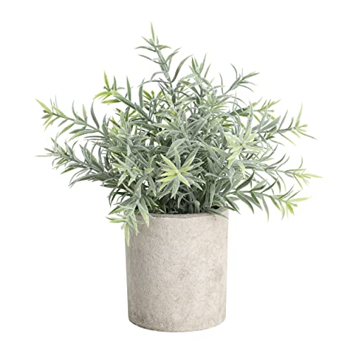EGLO LIVING Kunstpflanze Chitose, künstliche Zimmerpflanze im Topf, naturgetreue Deko Pflanze für Wohnzimmer, Kunstblume aus Kunststoff in Grün und Paper Pulp in Braun, 24 cm von EGLO LIVING