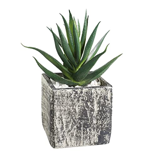 EGLO LIVING Kunstpflanze Chitose, künstliche Zimmerpflanze im Topf, naturgetreue Deko Pflanze für Wohnzimmer, Sukkulente aus Kunststoff in Grün und Paper Pulp in Grau, 13 cm von EGLO LIVING