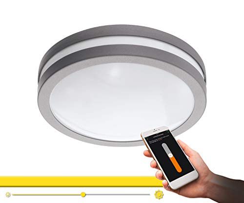 EGLO connect LED Außen-Deckenlampe Locana-C, Smart Home Außenleuchte für Wand und Decke, Deckenleuchte aus Stahl und Kunststoff, Farbe: Silber, weiß, warmweiß, dimmbar, IP44 von EGLO