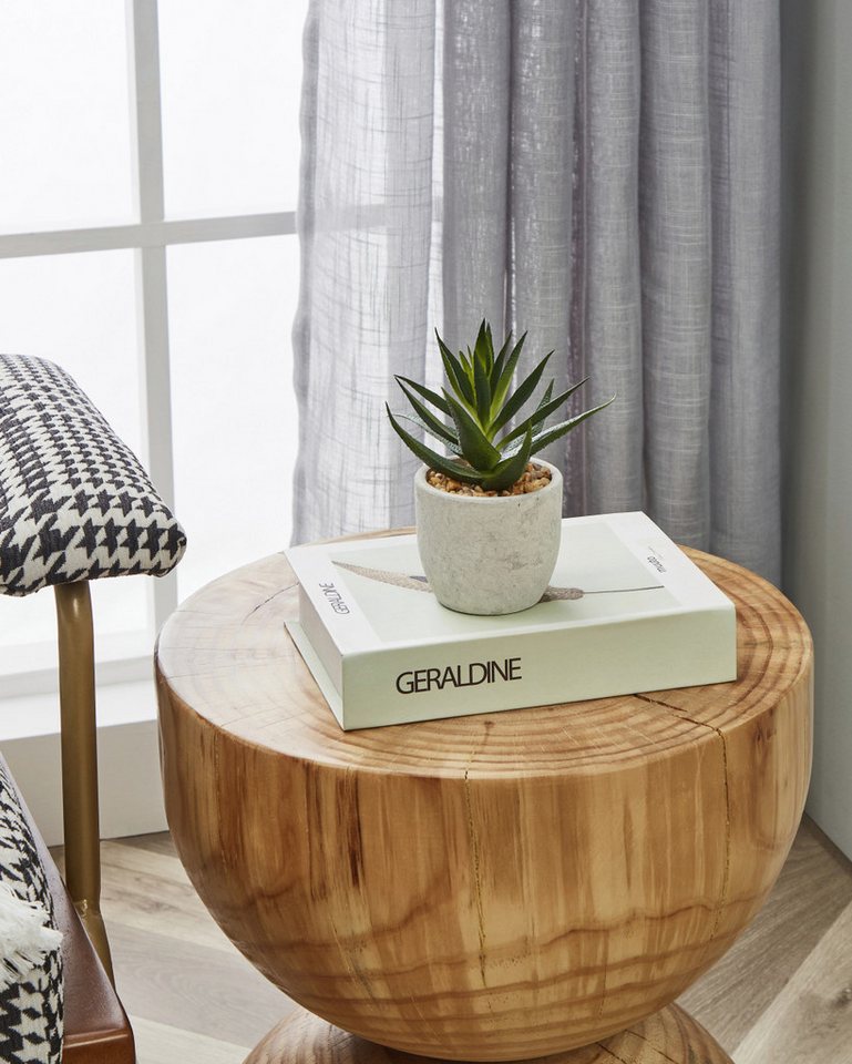 Kunstpflanze Eglo Kunstpflanze Sukkulente Chitose im Topf grün, EGLO Kunstpflanze Eglo Kunstpflanze Sukkulente Chitose im Topf grün, EGLO von EGLO