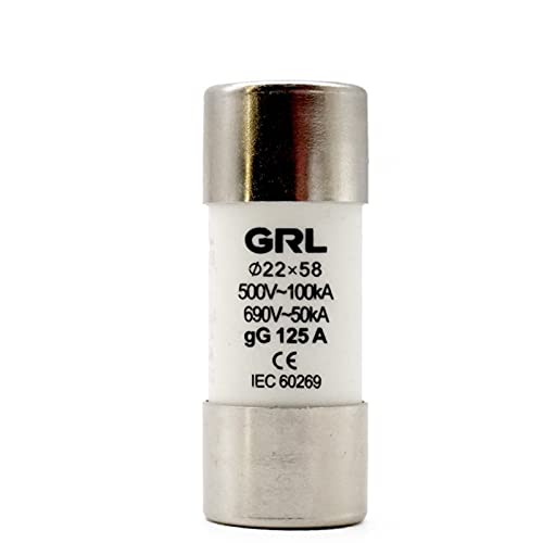 10 stücke AC 500 V RO17 Flinke Keramik-sicherungseinsatz RT18-125 22X58 gG Ausschnitt 10A 16A 20A 25A 32A 40A 50A 63A 80A 100A 125A(32A) von EGMEWDGF