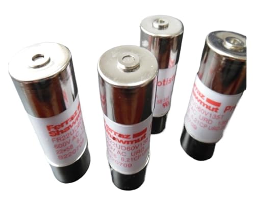 EGMEWDGF 1 stücke Sicherungen FR22AM69V63P A1022166 80P C1022168 FR22AM50V63P B217696 80P Z218729 FR22AM50V100P T222979 FR22AM50V125P S201312(FR22AM69V80P) von EGMEWDGF