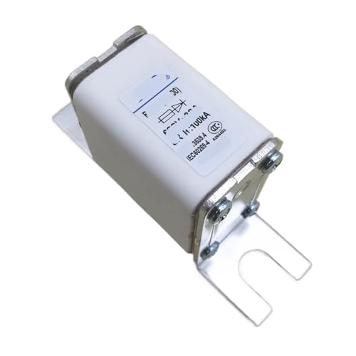 Sicherung RS6-00 NGT00 690V-25A32A40A50A63A80A100A125A150(125a) von EGMEWDGF