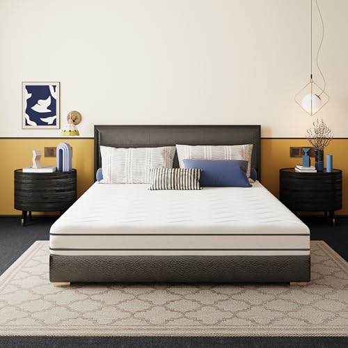 EGO HOME Matratze 100x200 Härtegrade H2 und H3, 2 in 1 Kaltschaummatratze aus Gel Memory Foam, 16cm Höhe Schaumstoffmatratze 7-Zonen Ergonomisch Wendematratze Öko-Tex Zertifiziert EGO HOME Matratze 100x200 Härtegrade H2 und H3, 2 in 1 Kaltschaummatratze aus Gel Memory Foam, 16cm Höhe Schaumstoffmatratze 7-Zonen Ergonomisch Wendematratze Öko-Tex Zertifiziert von EGOHOME