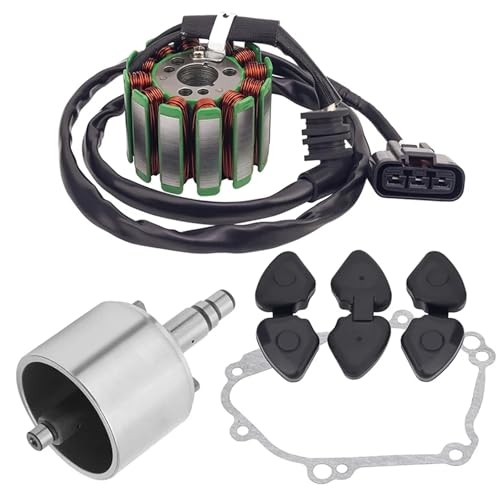 EGUIAS zündspule Zündkerzen Motorrad Stator Coil Generator Schwungrad Rotor Dichtung Dichtung Für Yamaha YZF-R1 04-08 FZ8 FZ8N(1 Set) von EGUIAS