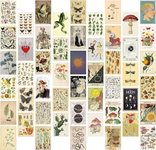 EGuangwiua 50Stück Botanische Illustration Tarot Ästhetische Bilder Wand Collage Kit Trendy Kleine Poster für Schlafsaal Vintage-Stil Kunstdruck Foto Sammlung Schlafzimmer Dekor für Jungen Mädchen von EGuangwiua