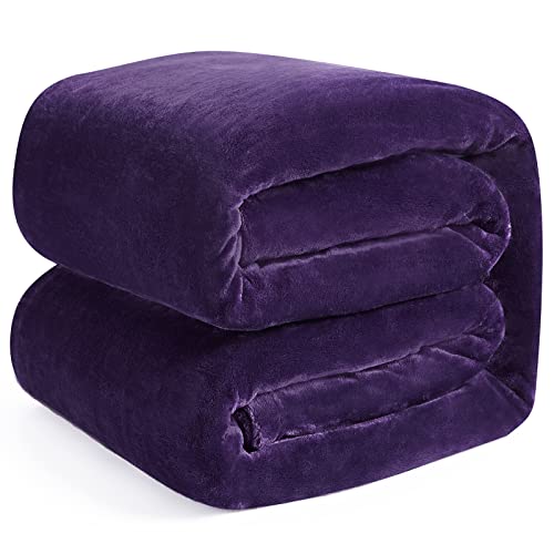 EHEYCIGA Kuscheldecke flauschig, weiche warme Fleecedecke 130x165 als Decke Sofa, Wohndecke oder Couchdecke überwurf, Violett von EHEYCIGA