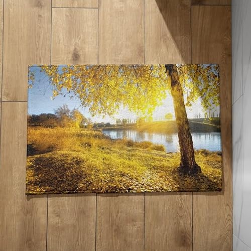 EHOMERY Fußmatte Außen Personalisiert Tiere Teppich Fussmatte Baum rutschfeste Fußmatte Outdoor Dusch Fussmatte Zum Füsse Waschen 50x80cm, von EHOMERY