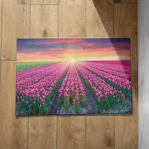 EHOMERY Fußmatte Für Außenbereich Fussmatte Haustür Außen Blume Schmutzfangmatte Innen Bunt Waschbar Türmatte Groß Waschbar 40x60cm, von EHOMERY